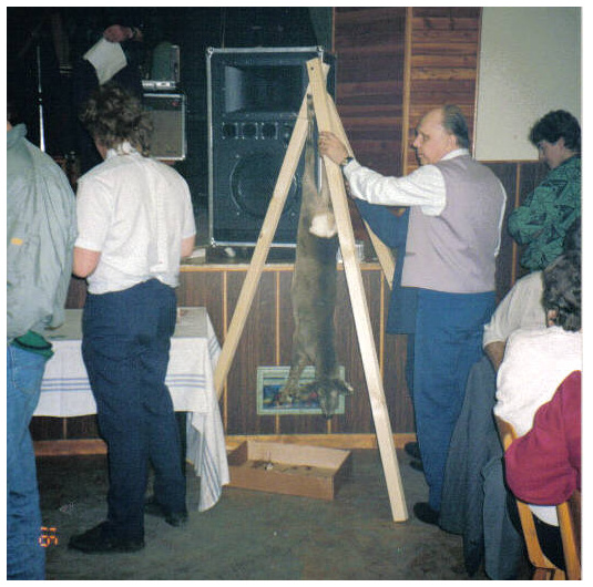 02.jpg