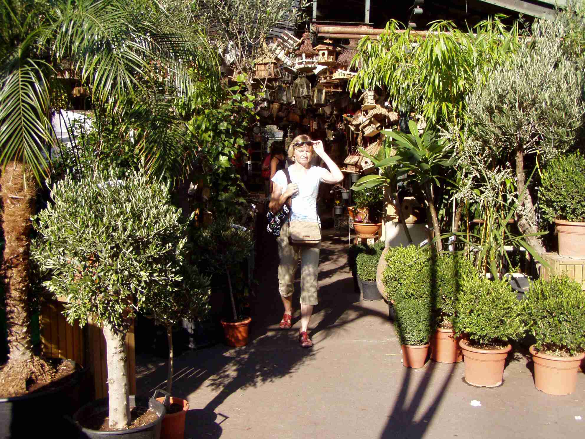 P1010236 (1)